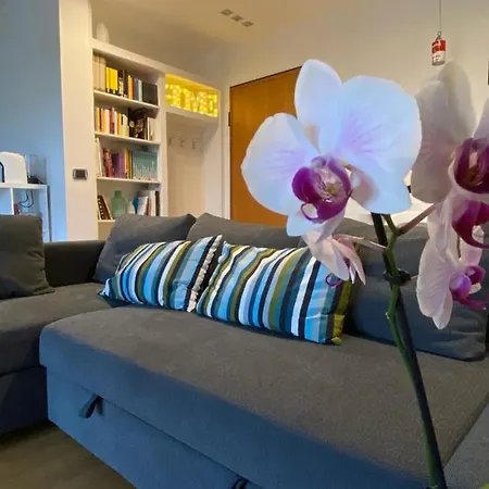 La Flor De La Mar Bari